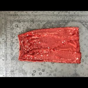 Zara Sequin MidiSkirt